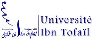 Logo Université Ibn Tofail (UIT)