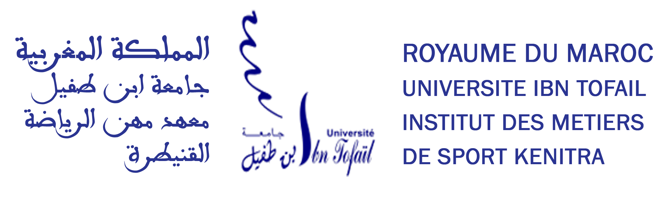 Logo IMS