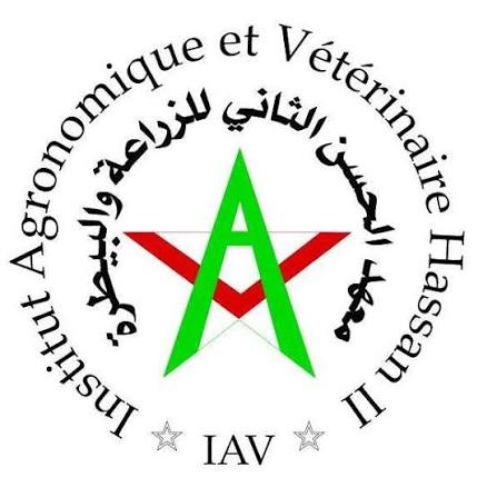 Logo IAV